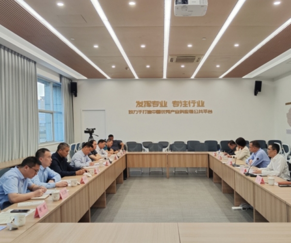 ?广西河池市委书记秦春成向导一行莅临调研