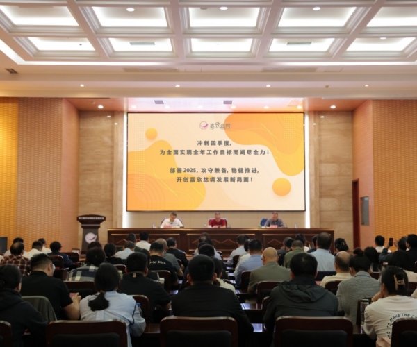 第一娱乐丝绸2024年三季度经济形势剖析会顺遂召开