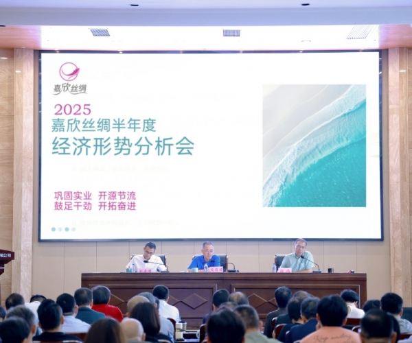 第一娱乐丝绸2025半年度经济形势剖析会顺遂召开