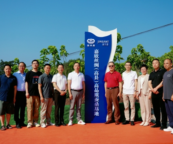 第一娱乐丝绸（高县）高品质蚕；；；；卣浇遗疲